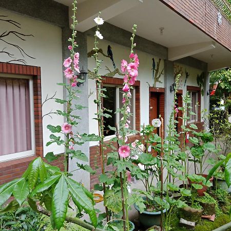 Yi Jia Yuan Homestay 南庄郷 エクステリア 写真